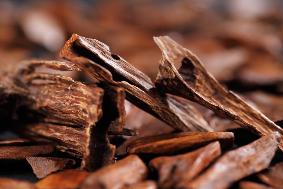 Concentré de Fragrance Bois de Santal