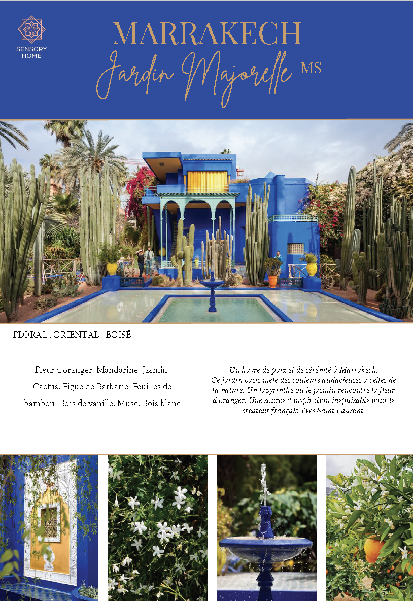 Bouquet parfumé Jardin Majorelle