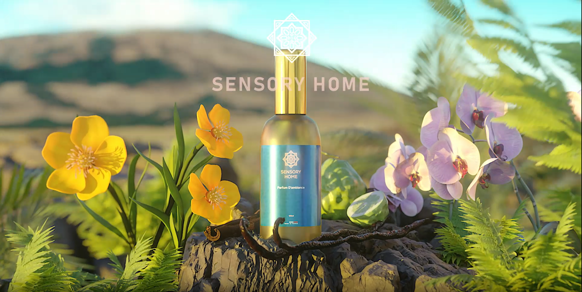 Charger la vidéo : 