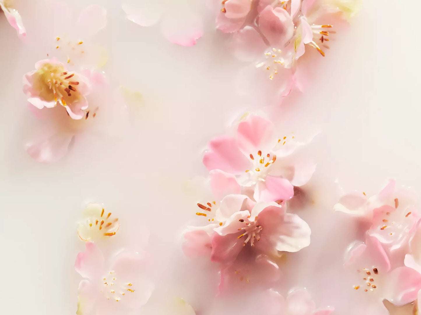 Concentré de Fragrance Sakura Mood