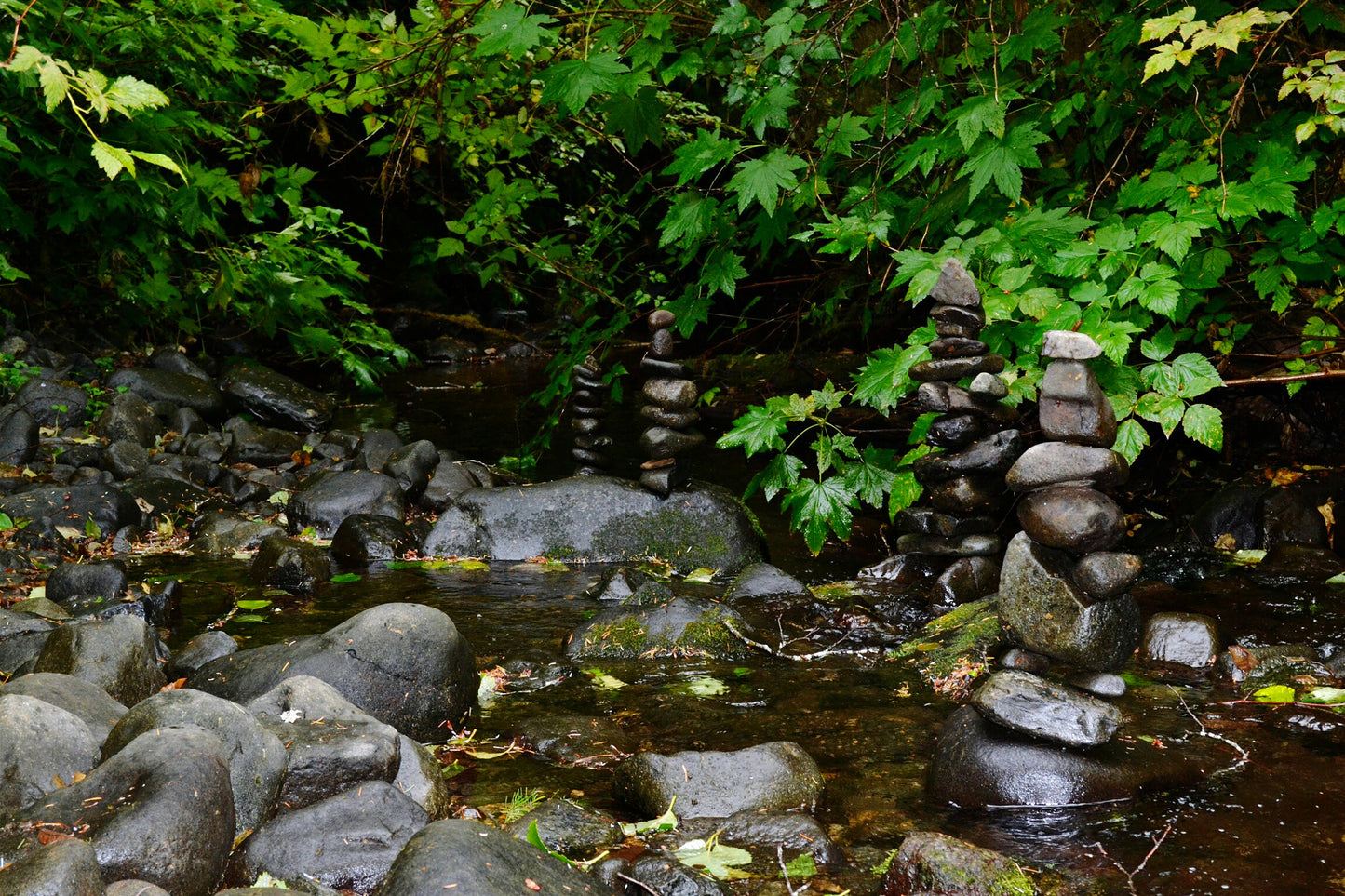 Concentré de Fragrance Zen